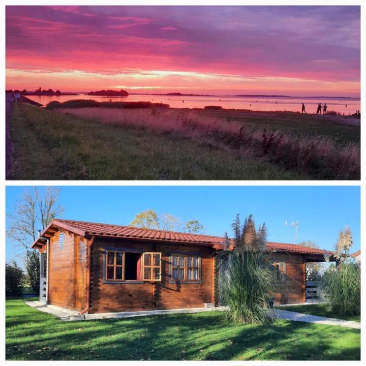 Marne Lac Du Der Joli Chalet Au Charme Du Der Chatillon-sur-Broue Eksteriør billede